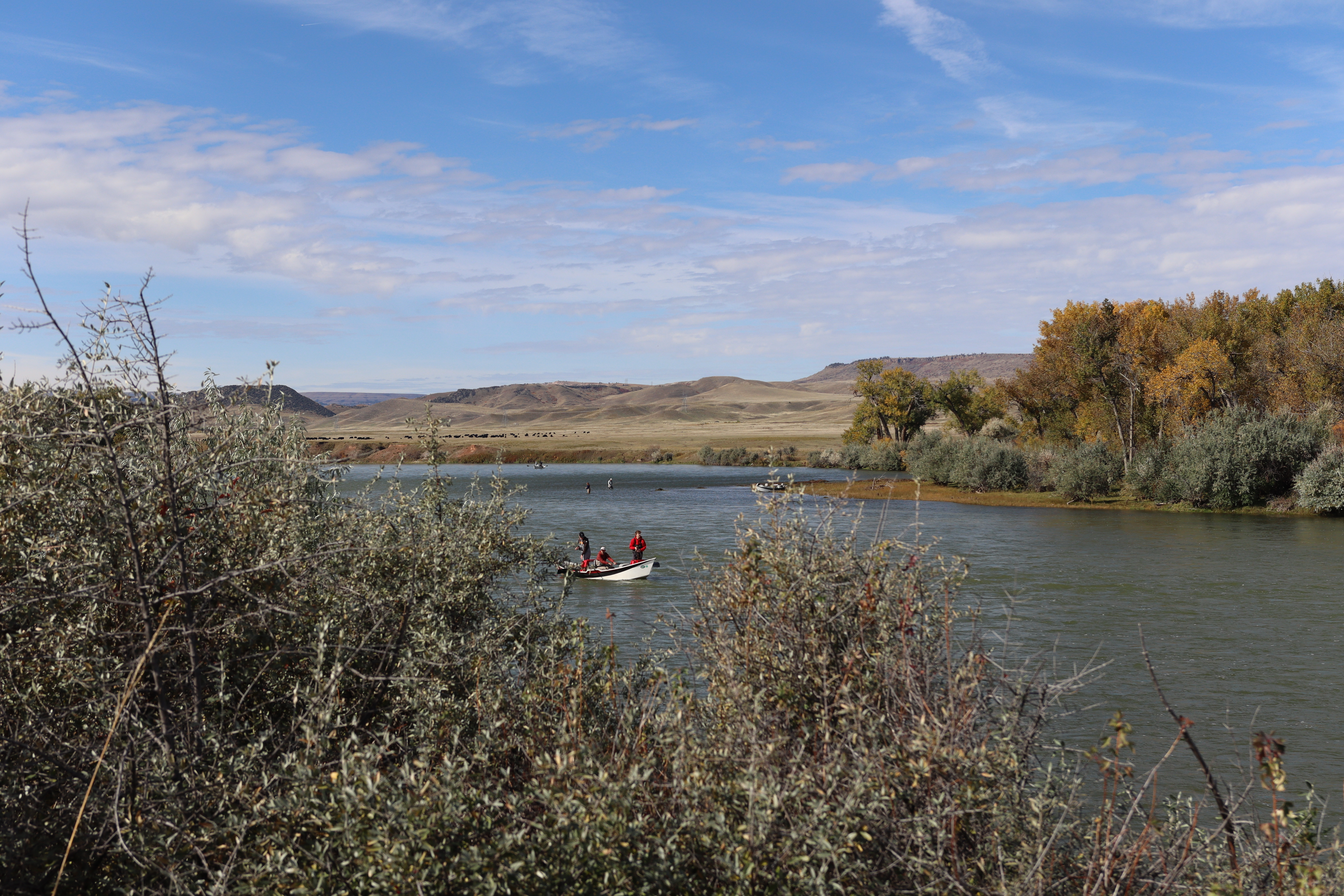 Fisherman enjoy a cool fall day along the Bighorn River, seen from the end of the 3-Mile Access Trail. The river is surrounded by fall colors with blue skies and white flowing clouds. The fisherman wear red jackets on a white boat looking for fish.