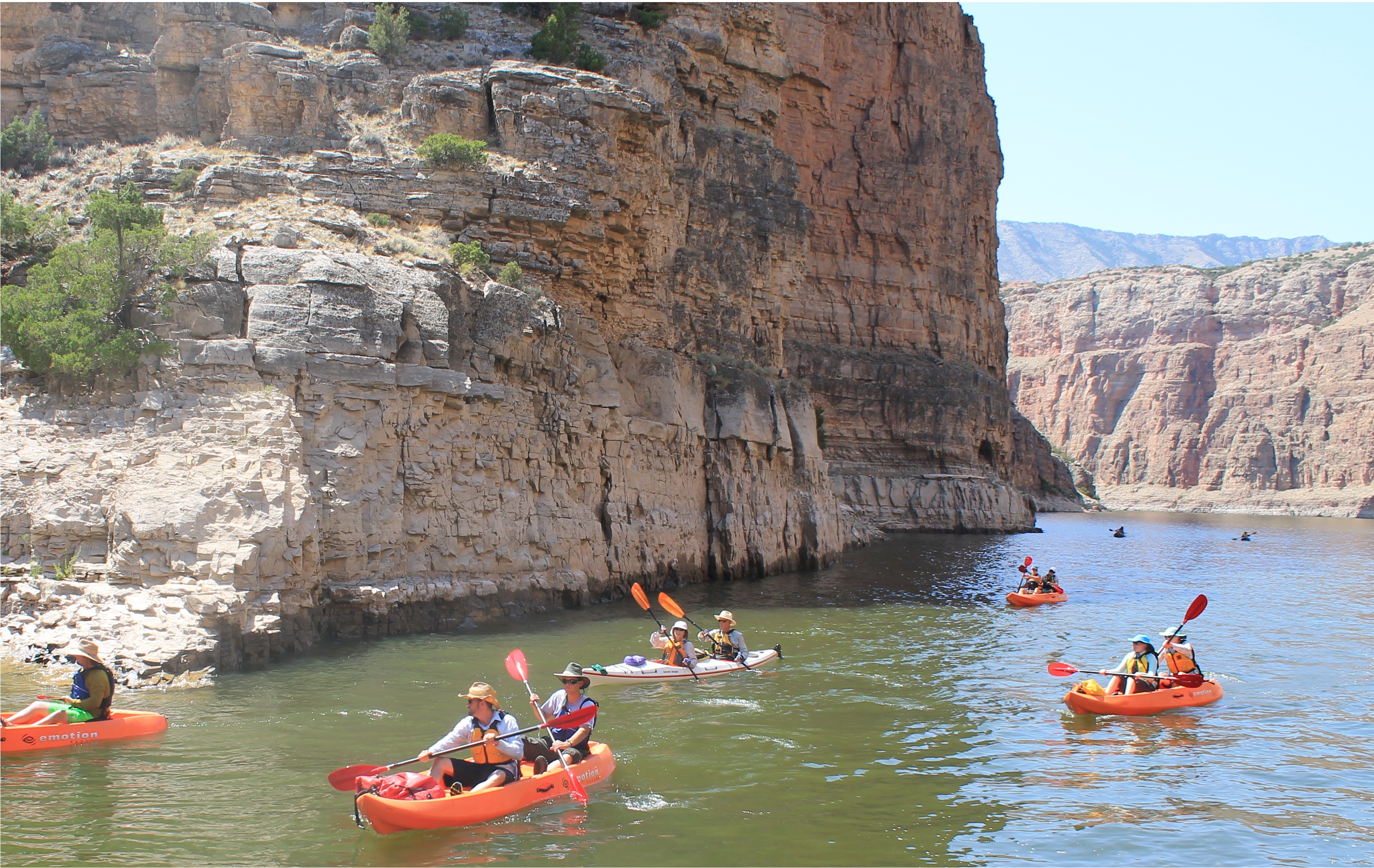 7 Kayaks with 11 people paddling up river in Bighorn Canyon.