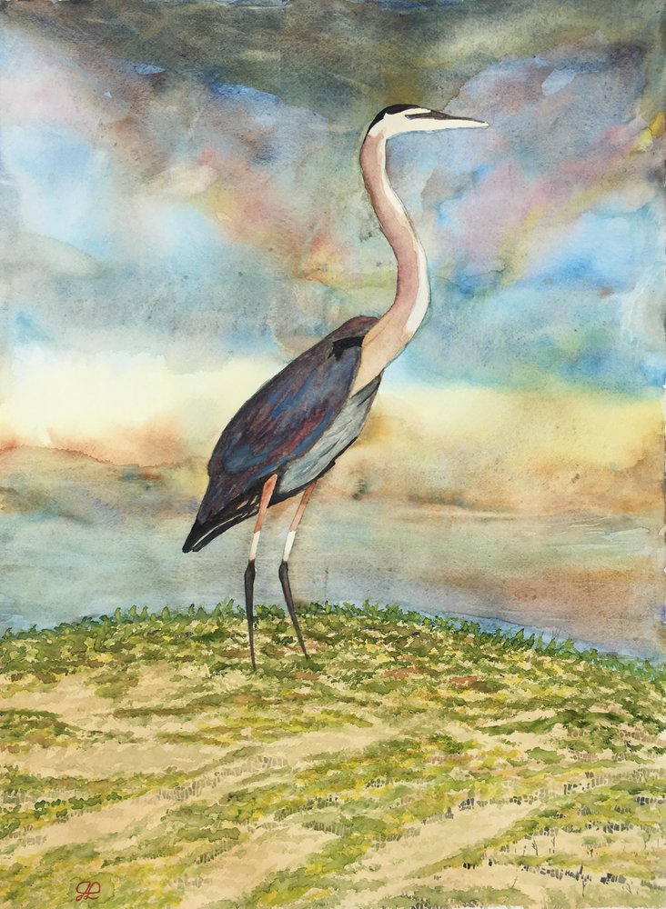 Pastel, evening setting, water color of a great blue heron standing in the water.