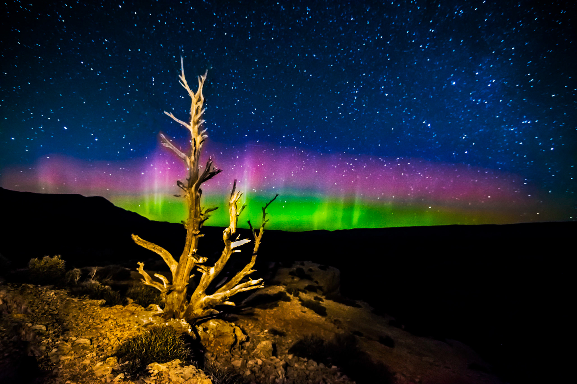 Night at Bighorn Canyon by Mary Aten Dead tree at night at Devils Canyon Overlook by Mary Aten