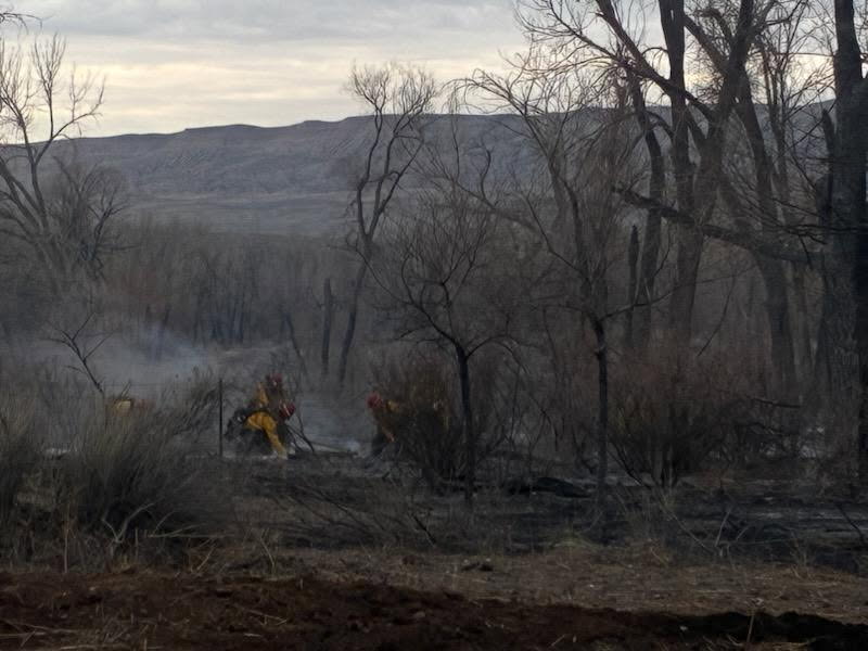 A group of firefighters dressed in yellow standout amongst the brunt black and grey vegetation as they tend to a smoking patch on the ground.