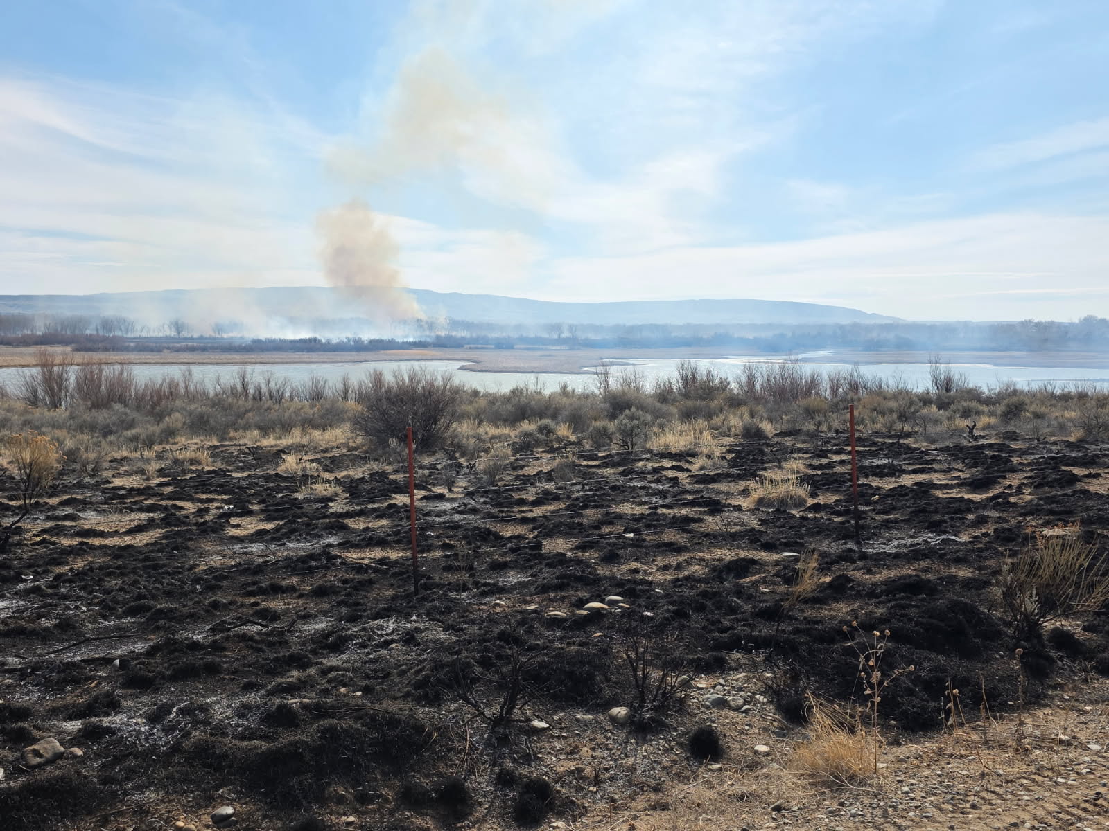 Burnt vegetation with a view of Bighorn River in the background.