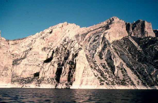 Monocline