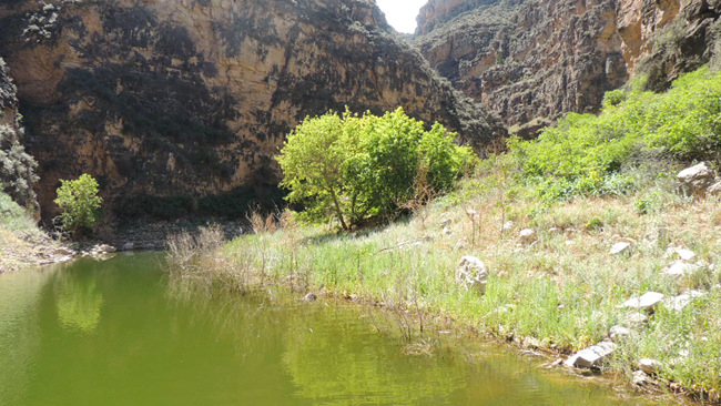 Dry Head Creek Campsite