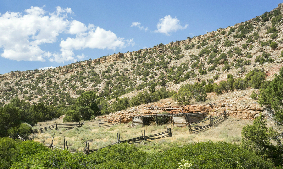 Hillsboro Hiking Trail