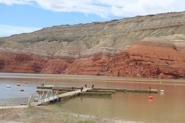 Docks at Horseshoe Bend Marina.