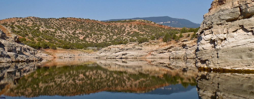 Medicine Creek Reflection