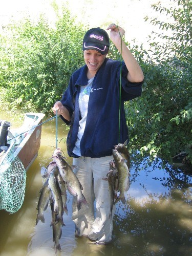 The daily catch! The daily catch!