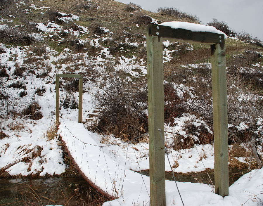 Beaver Pond Trail in Winter