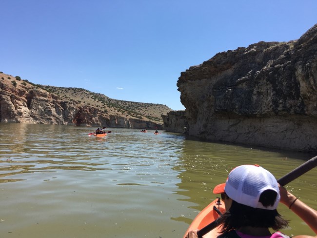 Several two person kayaks paddling near crooked creek.