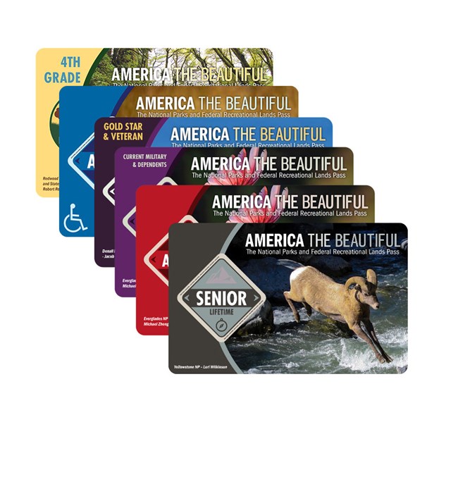 A collection of 6 plastic America the Beautiful Passes.