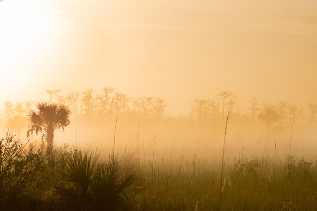sunset over Big Cypress sunset over Big Cypress