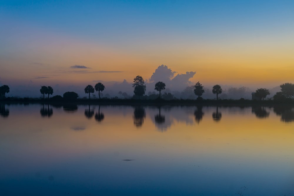 sunset over water and distant trees with nearly perfect reflection in the water