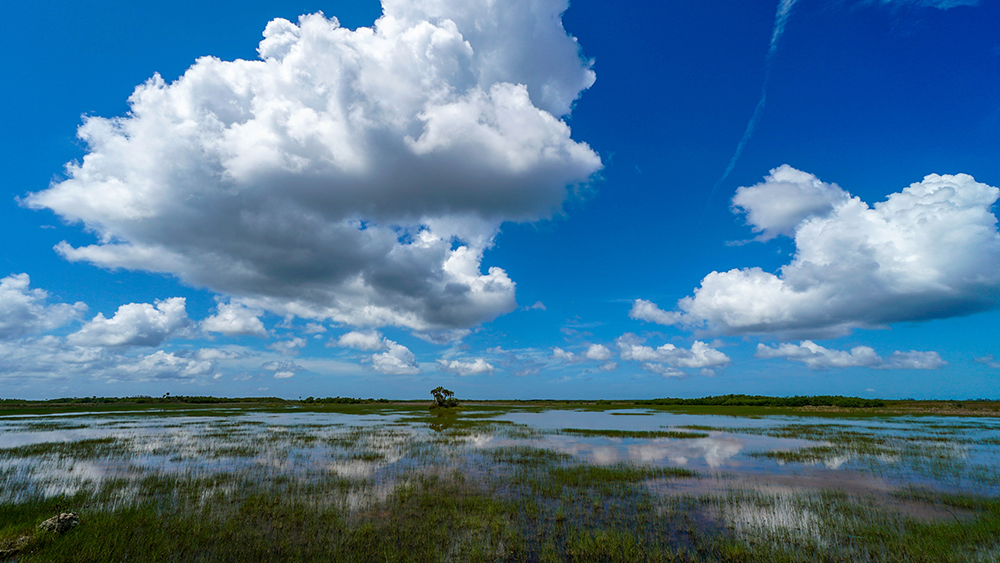 A National Preserve - One Land, Many Uses - Big Cypress National Preserve (U.S. National Park Service)