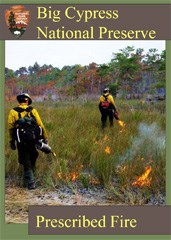 A trading card featuring two wildland firefighters drip torching a prairie.