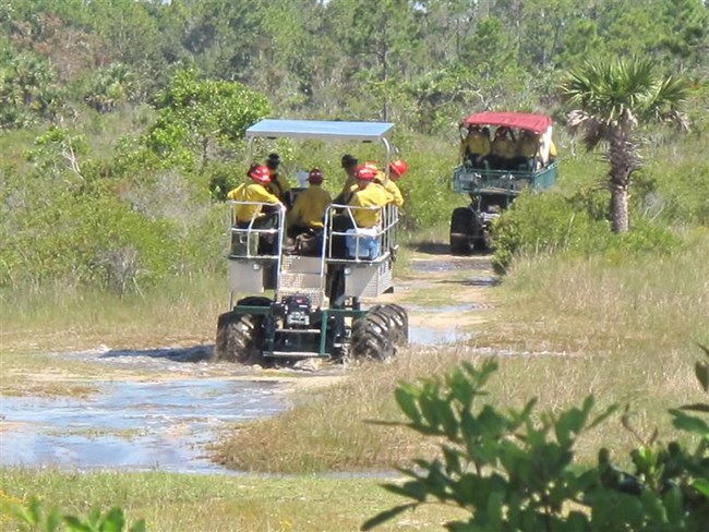 Buggy Transport