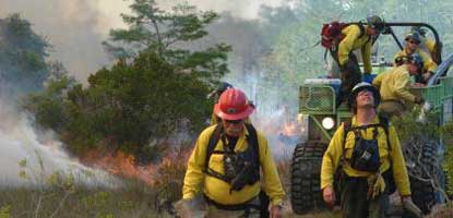 Crews utilize swamp buggies to access remote areas of the Preserve.