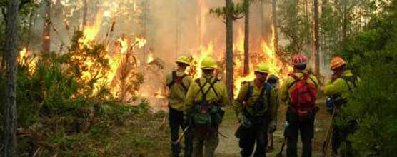 A fire crew fighting a wildfire in south Florida.
