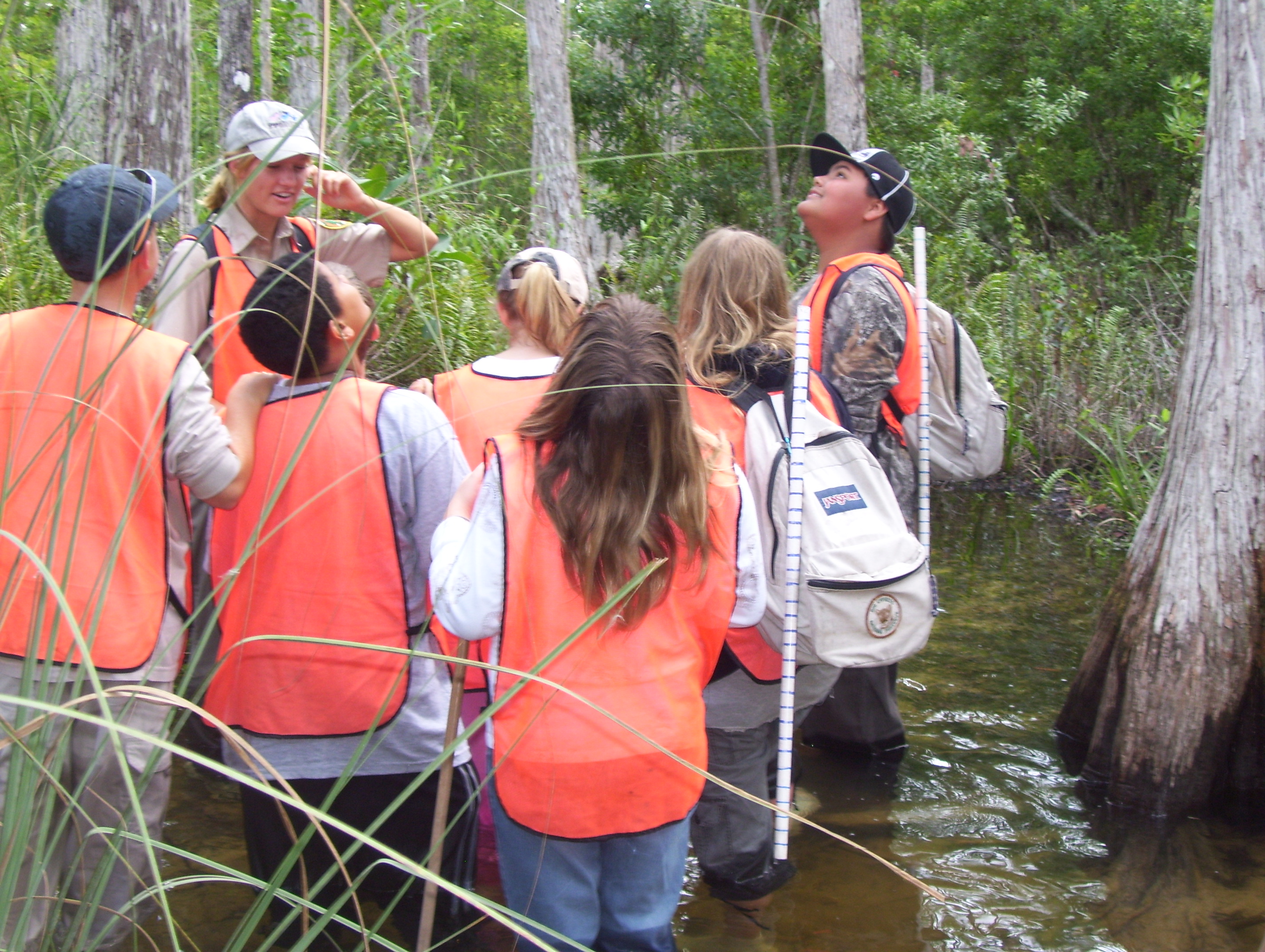 Students explore Big Cypress National Preserve by wading into the swamp.