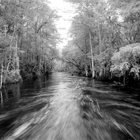Sweetwater Strand by Rick Cruz