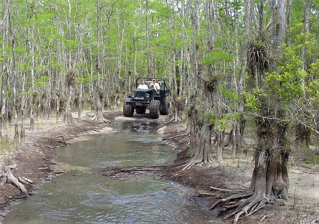 Swamp buggy on wet trail