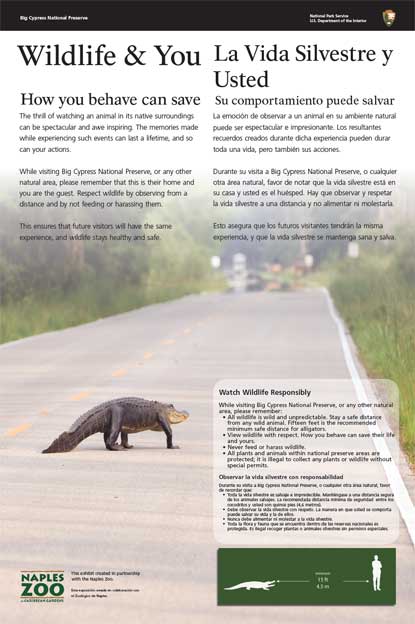 image of exhibit related to wildlife.