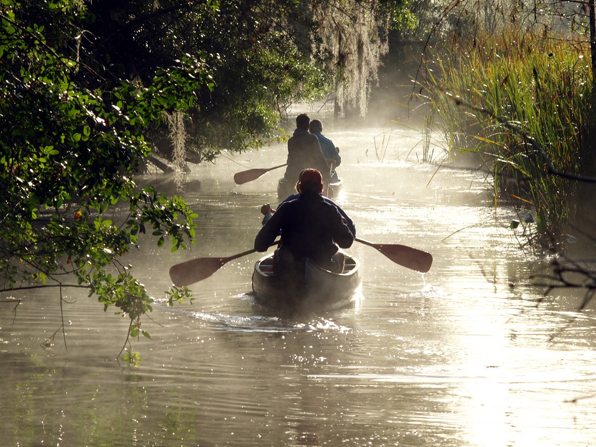 Two canoes paddle down a foggy river past trees draped with Spanish moss.