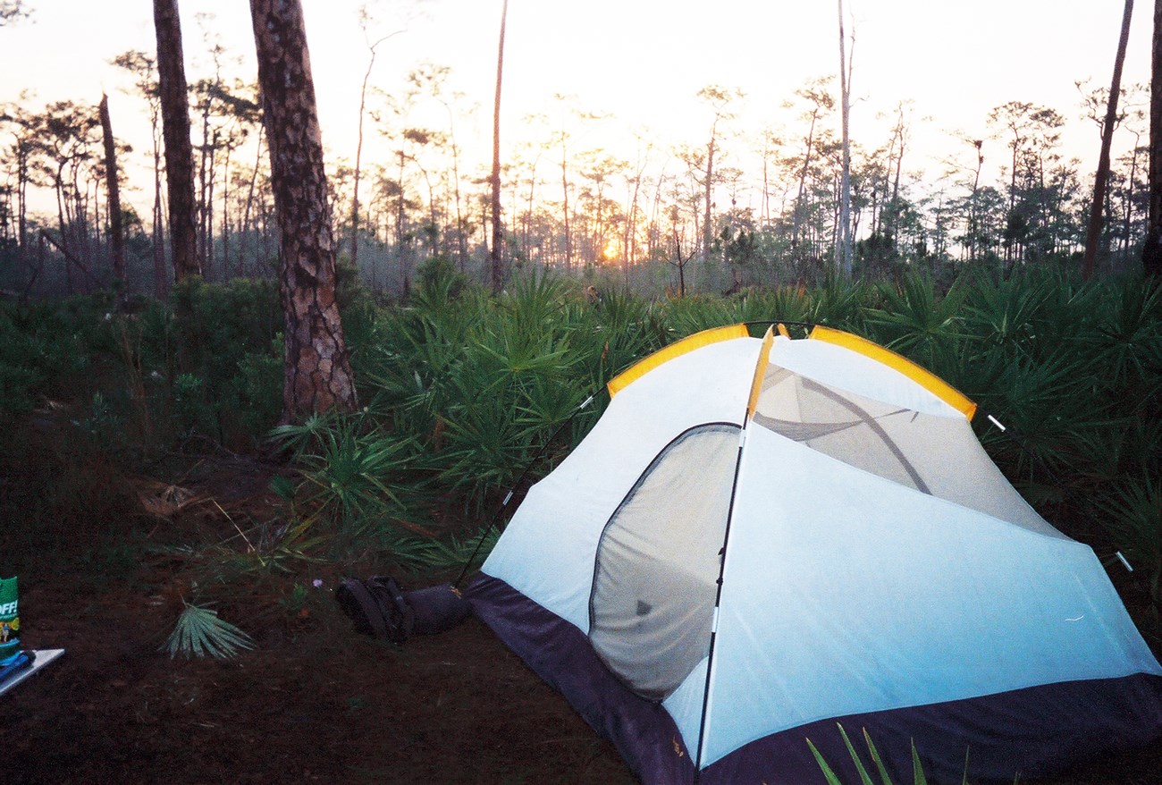White tent in foreground surrounded by cypress trees at sunrise.