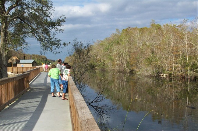 A group of visitors look over a boardwalk into a canal.