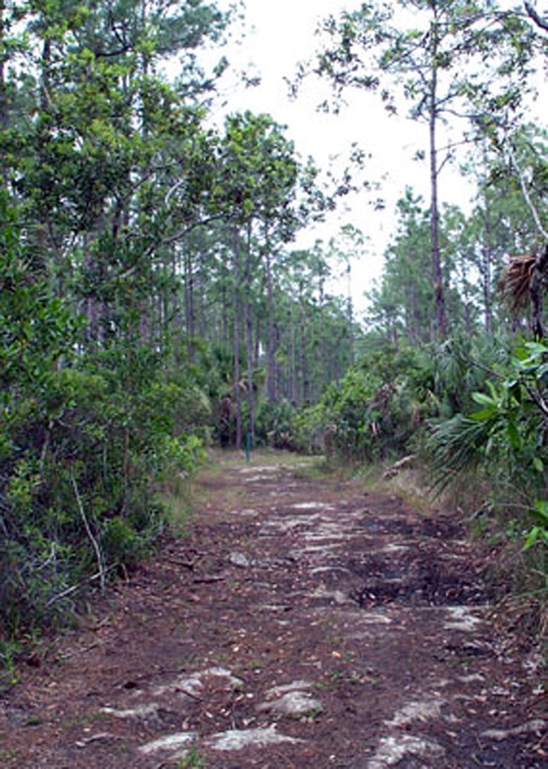 trail_1_1 trail_1_1