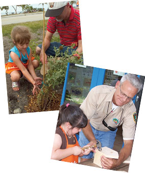 Planting native wildflowers and building a birdhouse.
