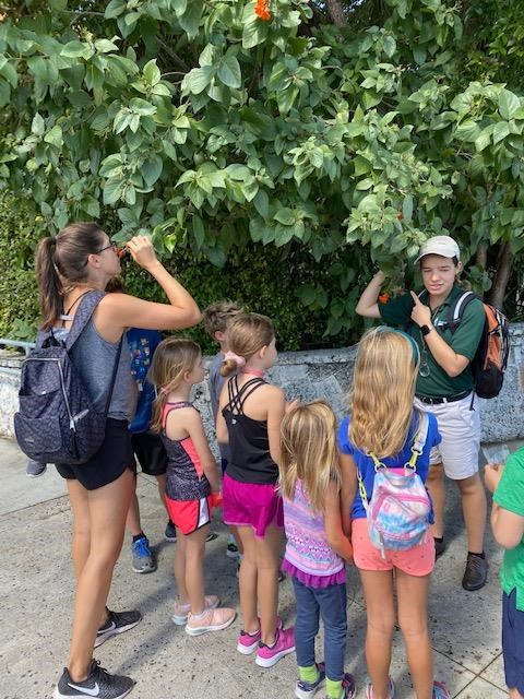 A group of children accompanied by an adult listening to a park volunteer giving a talk