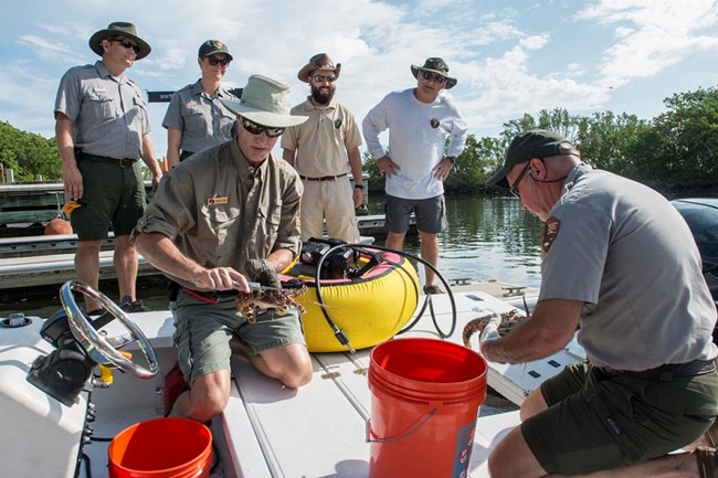 Biscayne National Park Volunteers Biscayne National Park Volunteers