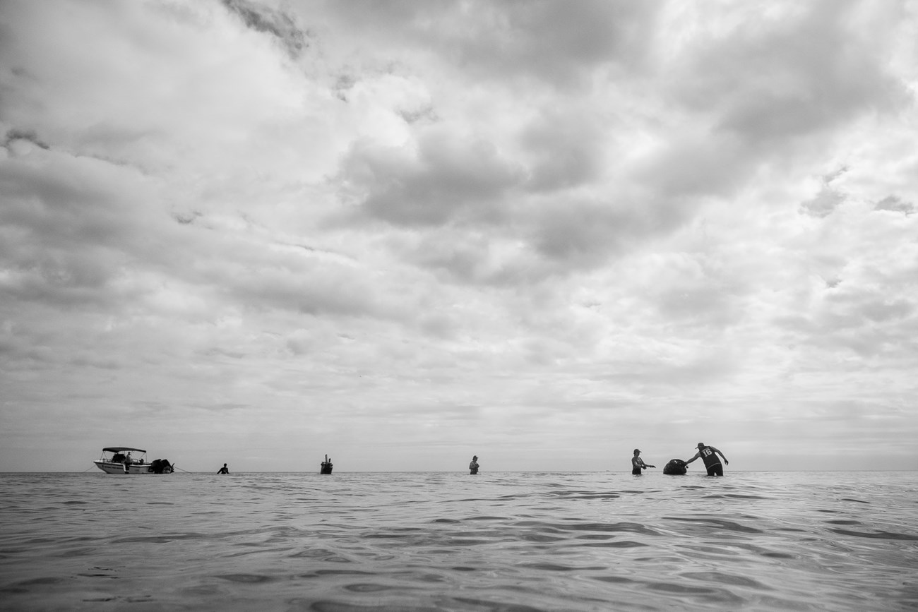 Between calm waters and cloudy skies, a group of people are dispersed across the horizon line. They pass bagged garbage from the right to an anchored boat on the left.