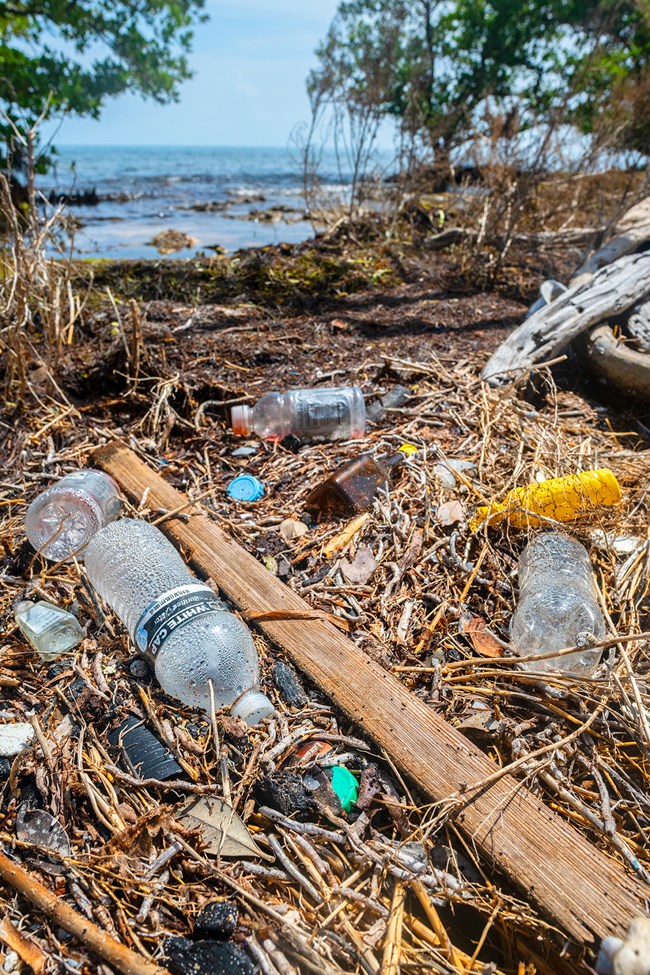 Several plastic bottles, bottle caps, and several other pieces of trash mix with organic material like seaweed.