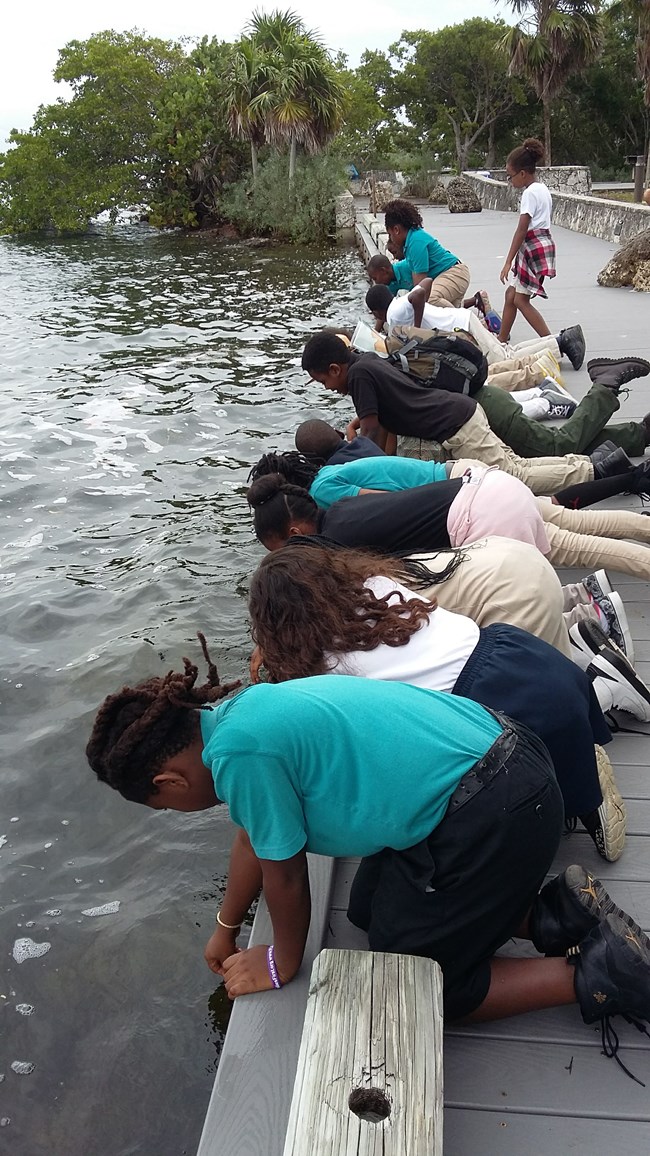 Environmental Education program Environmental Education program
