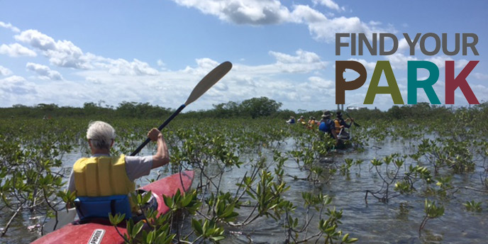 Kayaker in Crocodile Creek
