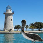 Boca Chita Lighthouse with a pelican in the foreground.