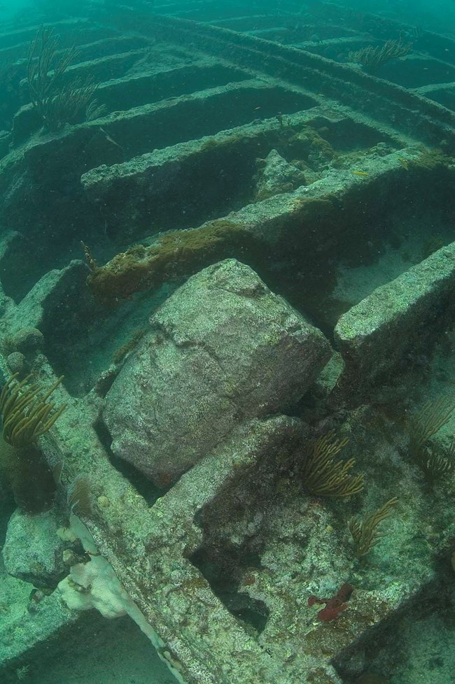 A wood barrel among the murky, greenish remains of an underwater ship wreck.