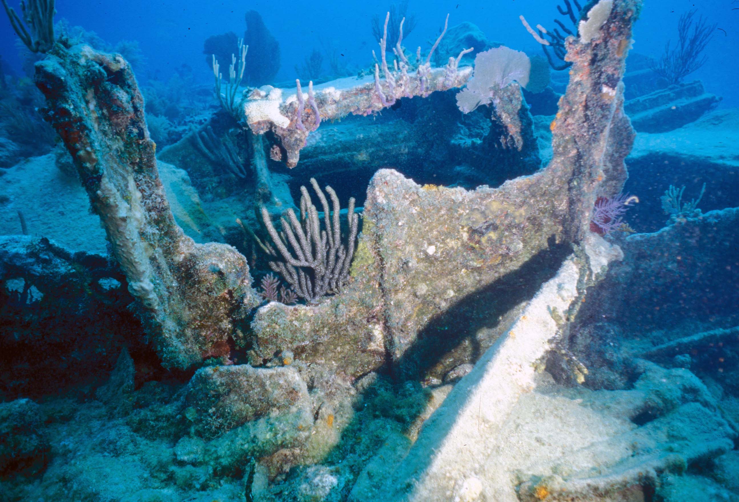 biscayne national underwater park