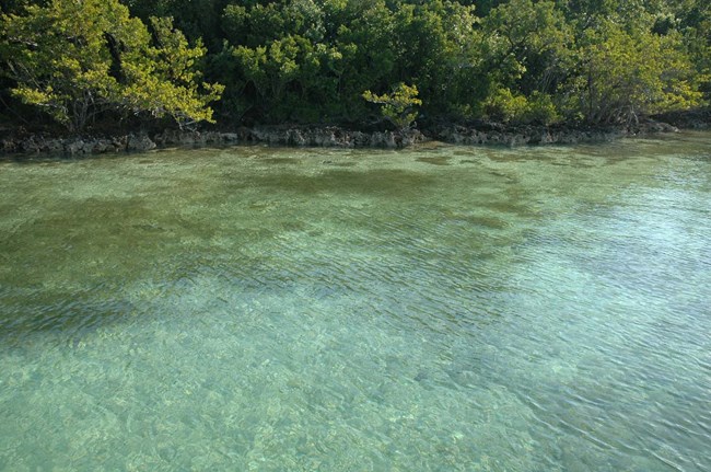 Elliott Key & Biscayne Bay