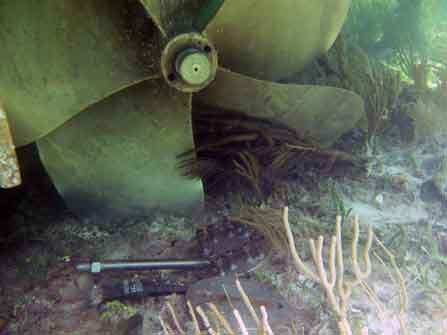 Propeller of grounded vessel embedded in coral reef.