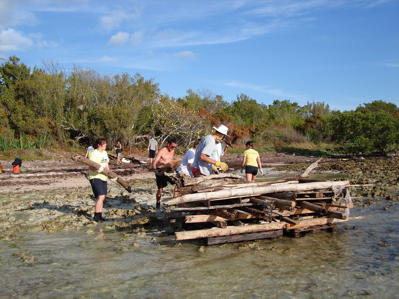 Photo of park staff and volunteers removing large woody debris from a sea turtle nesting beach