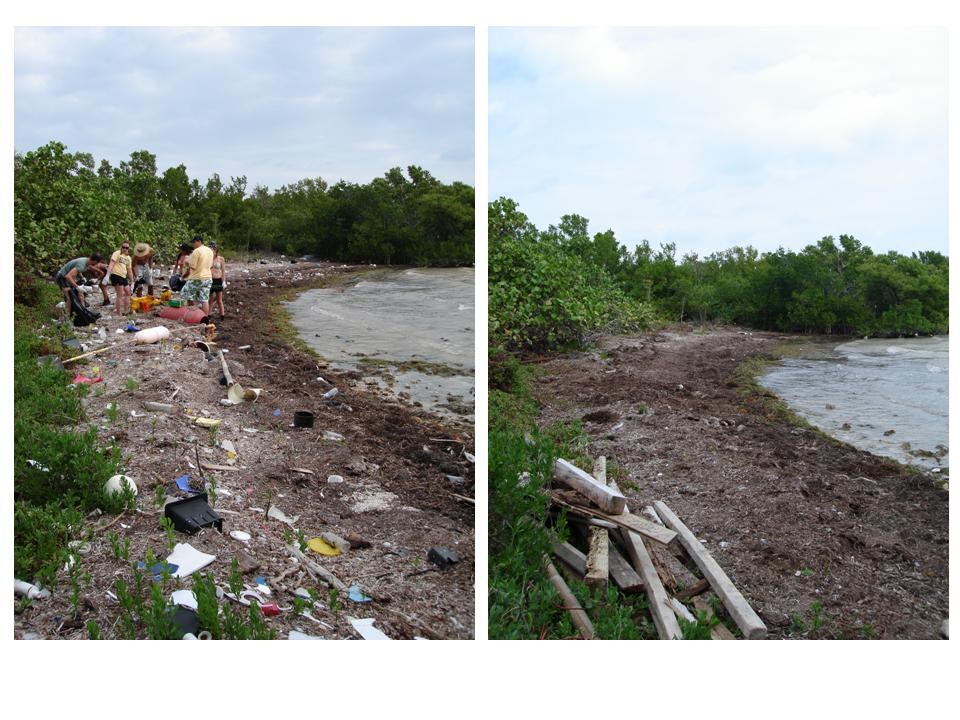 Volunteers, as part of the Alternative Spring Break Program, remove debris that has accumulated on an important sea turtle nesting beach