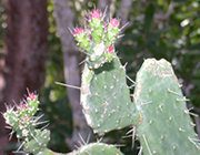 Nature and Science Nature and Science