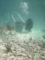 Collecting reef rubble