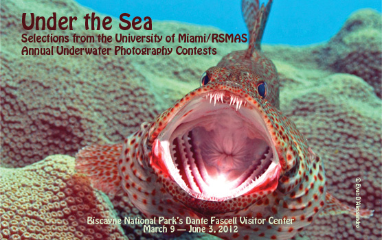 biscayne national underwater park