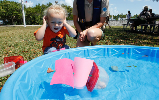 A young boy looks surprised when a toy boat capsizes in front of him.