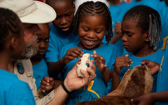 A group of children surround a park volunteer holding an otter skull and pelt.