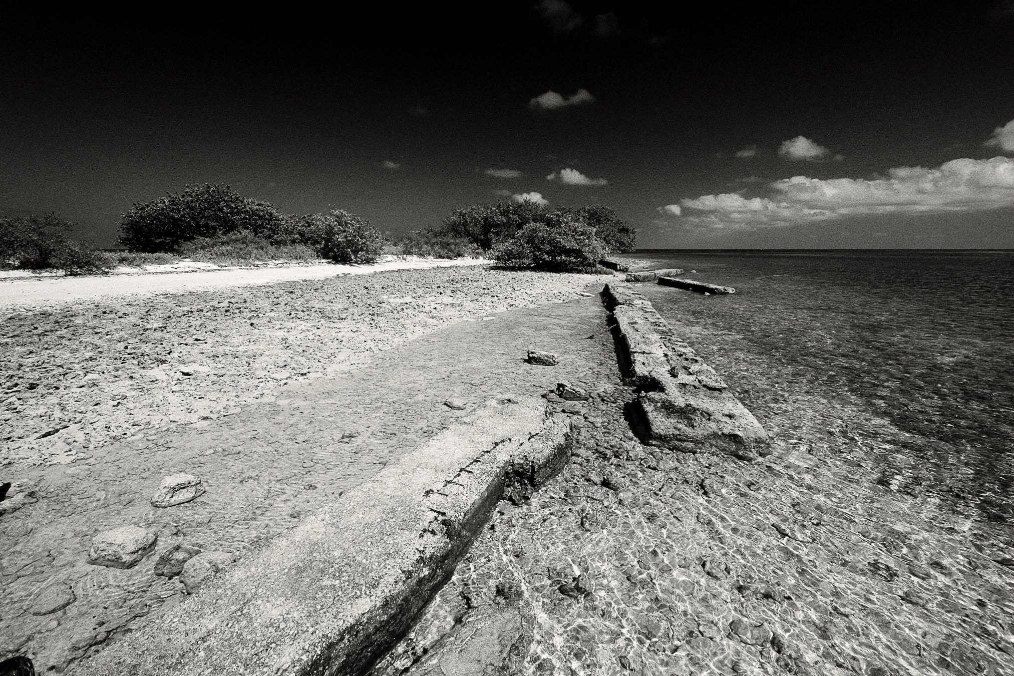 low tide along a rocky shoreline